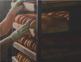 תעשיות המזון