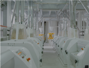 ייצור ופיתוח